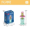 8814-5 Potted Plant [Snapdragon]