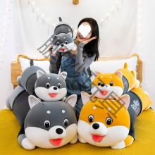 �¿��ʿ��ë�q��߹����L�l��Ȯ����������żŮ�����նY�� �H��