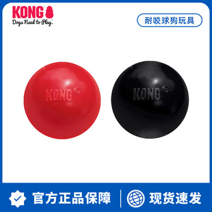 KONG����������������z��ҧ������ߴ�����Ȯ��ҧĥ�������