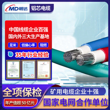 ˶10/16/25/35/50/70/95/120/150ƽp^BLVV/BLVXо