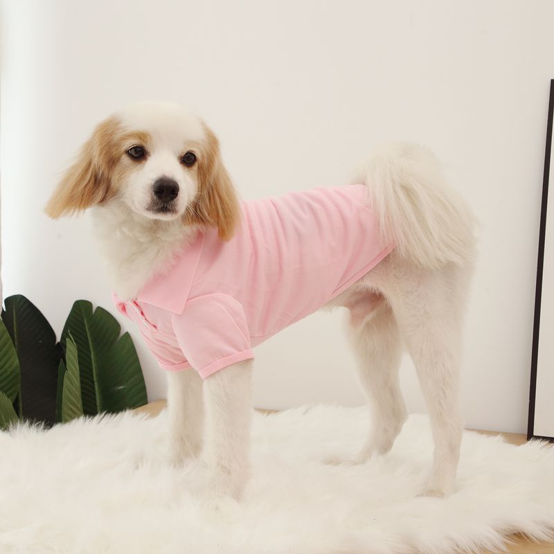핑크