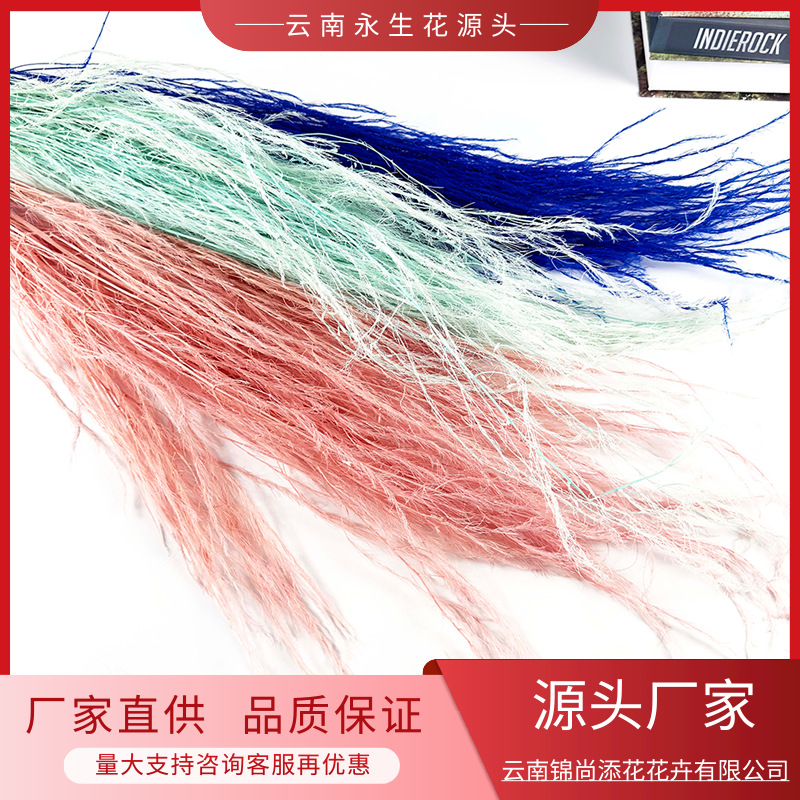 永生龍鬚草永生花家居DIY裝飾掛藤婚慶雲南廠家乾花配材