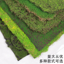 ����̦�\ֲ�q��̦��Ƥ����Gɫ���^�b����쾰�����̦̦�\��ƺ