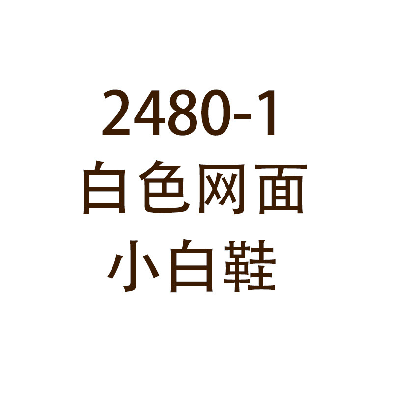 2480-1 흰색 메쉬