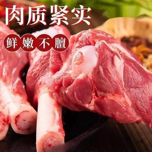 ���ɹŎ�����������r����������^����������������Ȱ���Ͳ��