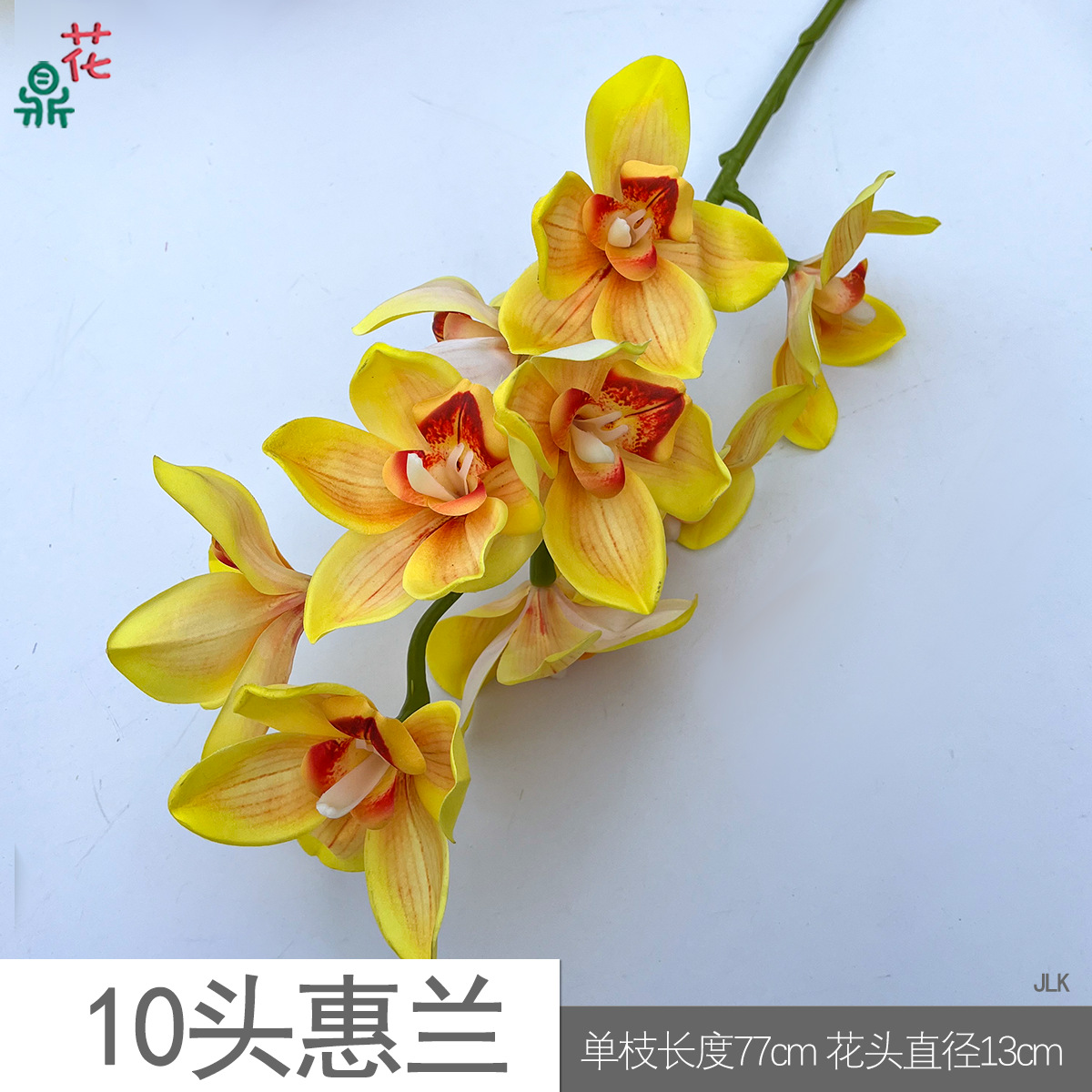 10 Thân Hoa Lan Cymbidium JLK Màu Vàng