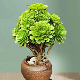 ��Ů������ɯ�G��q�f�}����ϼ�w���N�҃Ȼ��ܶ���ֲ���w���w����