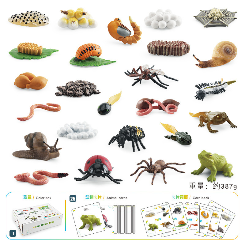 Caja de color de ciclo de animales BL-11004 387G