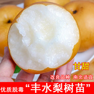 �޽��Sˮ���������S���������ͥԺ�����Ϸ������Nֲ����������