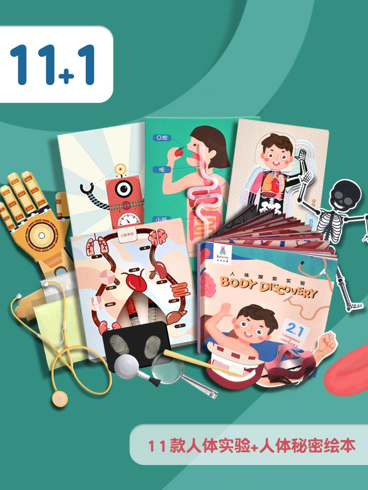 Physiological material for experiments, toy for elementary school students, handmade, science, body organs