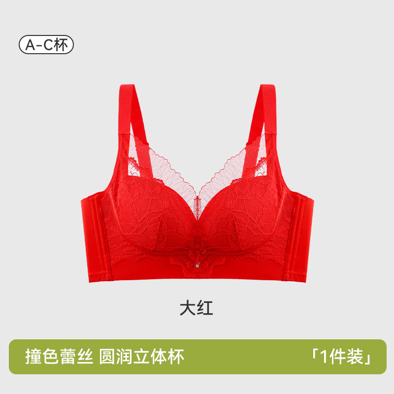 Nueva ropa interior de encaje para mujer, senos pequeños, grandes y sin costuras