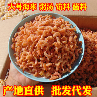 ��̖�t����Ó�����h�r���_���r��؛�r��С���b���l���l����