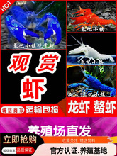 ���r�^�p�r��ˮ���r��ˮ�ͻ���r��ɽԭ������{ħ�r�໨�����r