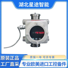 saba strumentazione 流量计和流量计 Sa 91 TE EX（防爆型）
