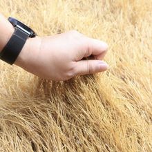 ����é����픵��ݑ�������������ͥԺ�����ȼé��ë�ݷ�ˮ����