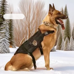 �������ͱ����r����Ȯ�����RȮ܊��Ȯ�Ѿ�Ȯ�o�lȮ���w���ﹷ��