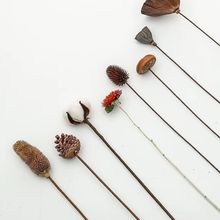 ɻWt޻뻨滨С¿͏d廨b[SֱN