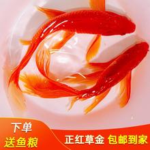 �t�ݽ��~���B�ͻ��^�p�~�Lβ��t���ԁ�ˮ��ˮ�~��ˮ�\�����w�\�a