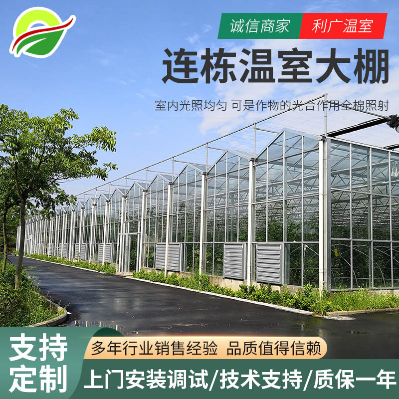 温室大棚厂家玻璃温室大棚工程连栋薄膜温室 智能温室 农业温室