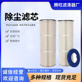 挖掘机用除尘滤筒快拆式120℃ 工业用滤清器粉尘回收过滤筒
