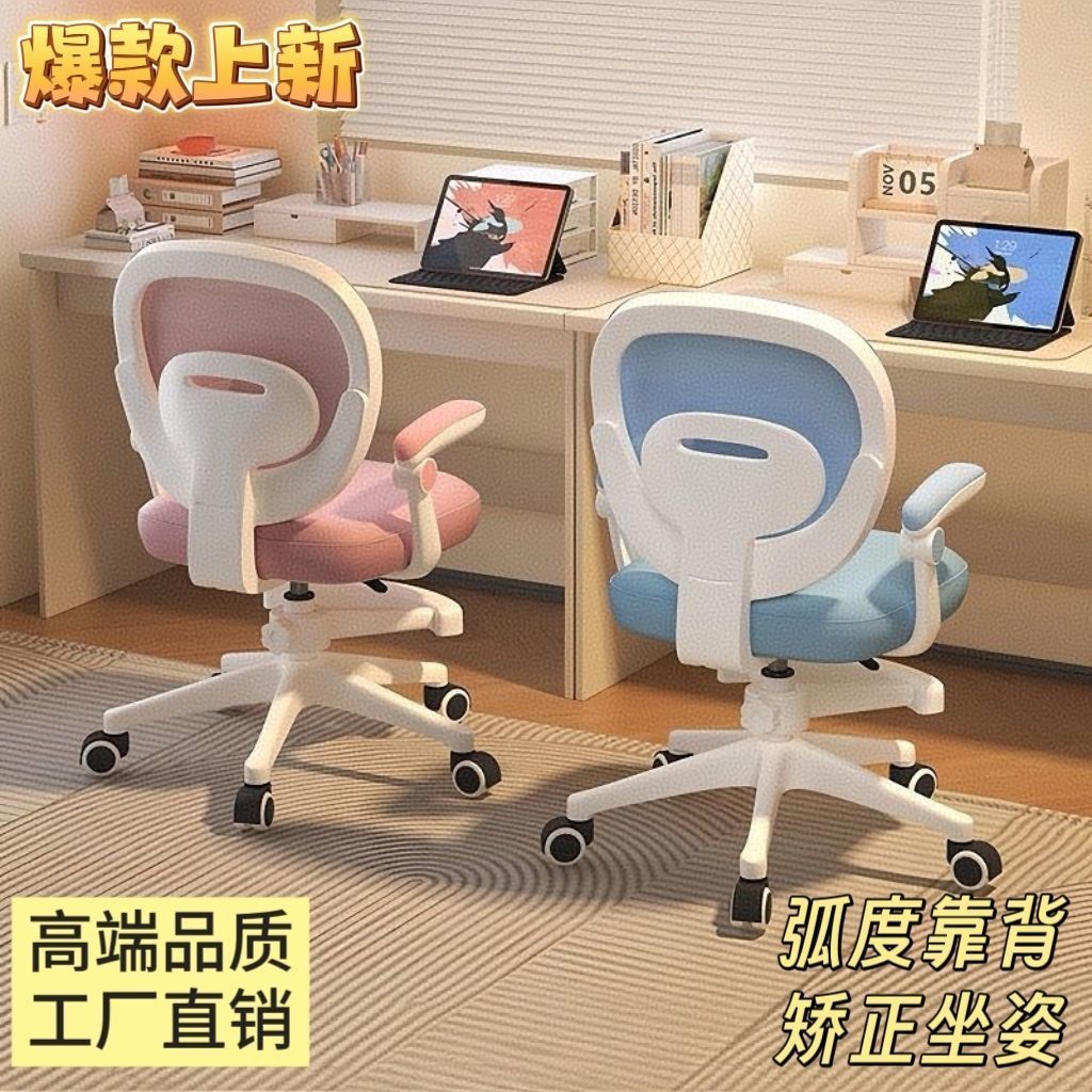 Student-Specific Chair Can Be Lifted and Adjusted, Home Writing Chair to Correct Sitting Posture, Backrest Stool, Primary School Student Desk Chair