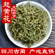 sS500gĴAȫsSݲҰ֬Dø