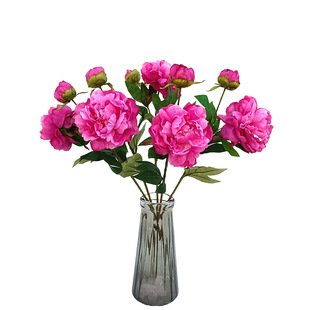 ���滨2�^�P��ĵ�� ��c�Ҿ�ܛ�b�b廨�ٻ��[�Ż�ˇ����ĵ����