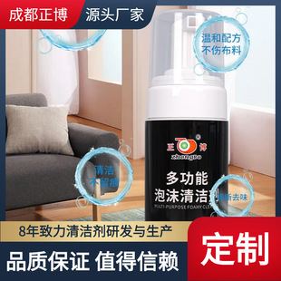 Customized Oem Foam Cleaner Small Bottle for Home Car Fabric Leather Degreasing Engine Oil No-Wash Factory Direct Supply