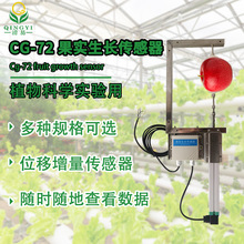 果實生長傳感器植物莖桿生長RS485遠程實時監控測果實直徑傳感器