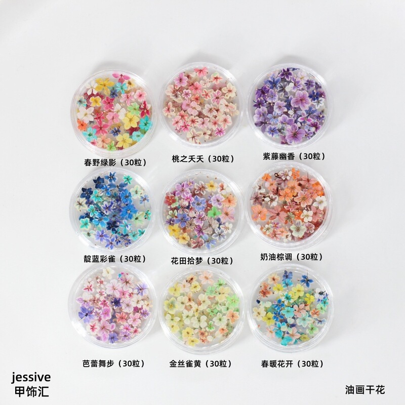 Internet Popular Japanese Oil Painting Style Nail Art Small Dried Flowers Mixed Color Matching Flower DIY Floriculture Material Nail Decoration