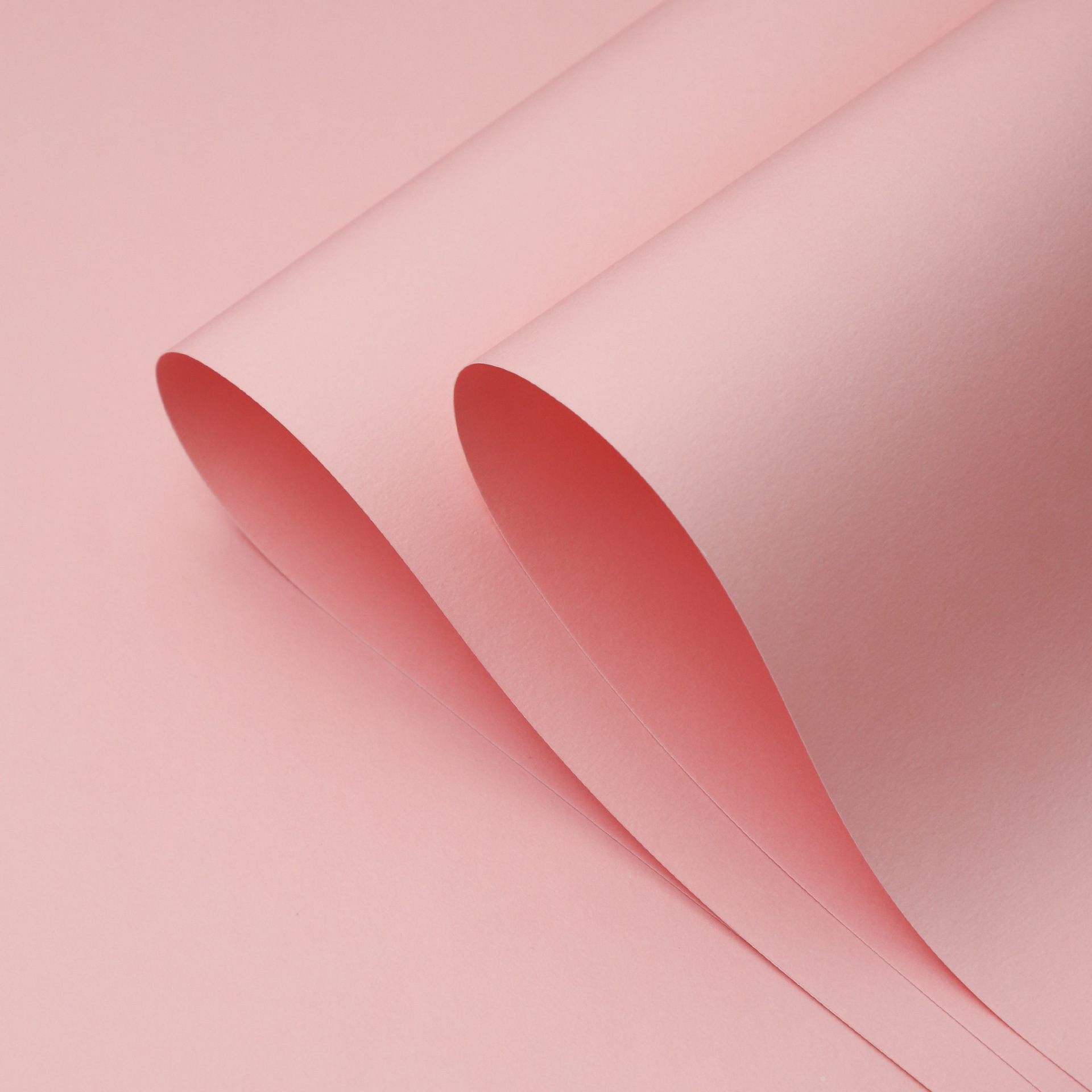 Papel de seda premium de 150 g/m², rosa rubor, 44*58 cm, 10 hojas; un paquete