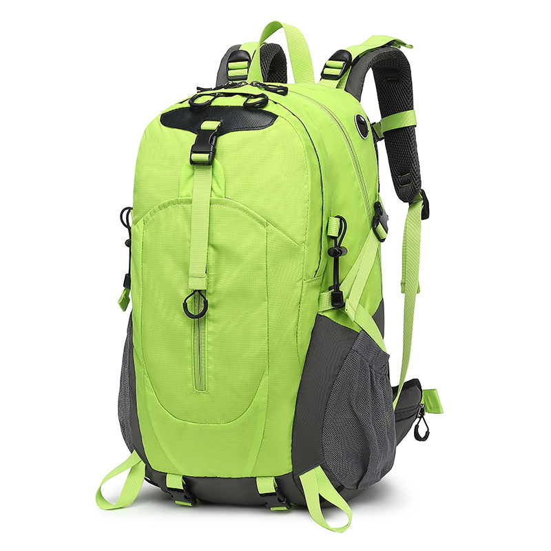 DS-05-형광녹색-척추보호모델