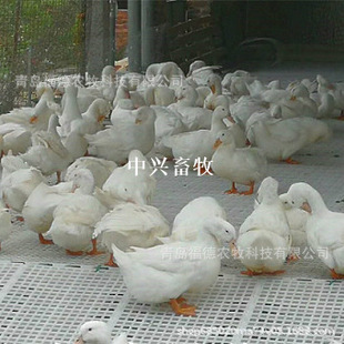 ���Z�����������ϽӼS�� ��Ҏ���u©�S�� һ�׼�����©�S�帣��