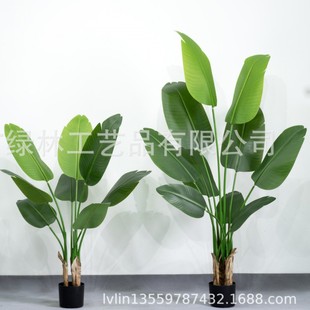 �������˽� �҃��b��쾰 ����Gֲ���� ���˽� ���l����