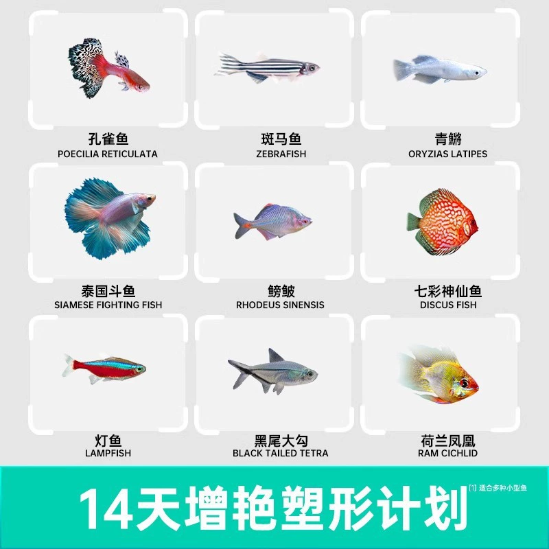 Small fish feed small particles tropical fish goldfish colorful angelfish bet fish guppies special feed wholesale
