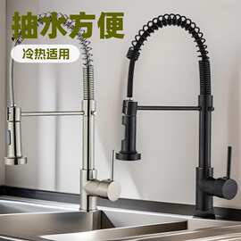 跨境弹簧式厨房水龙头喷雾器搅拌机多动能不锈钢冷热混水单手柄