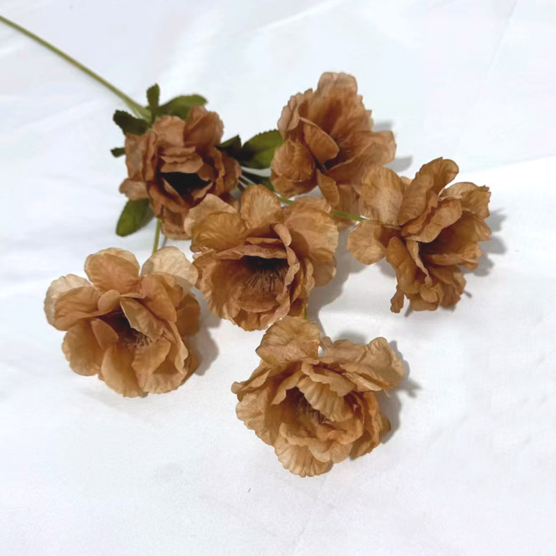 6 Gardenia à tête