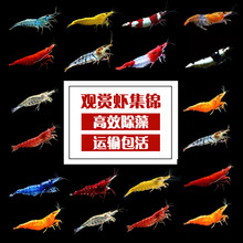 �r�����rˮ���ѻ������r��ˮ���������S���׹��߳����r��������