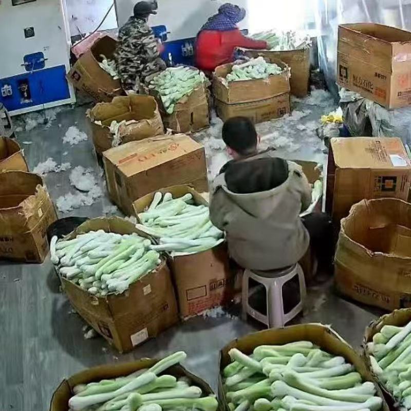 Peluş Yılan Oyuncak Toptan Halka Atma Oyunu Bestseller Ürün Peluş Yeşil Yılan Peluş Oyuncak Küçük Yılan Figürü Bebeksi Oyuncak Yılan