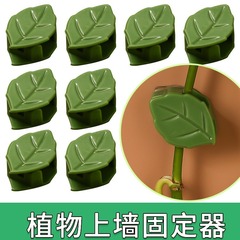 緑羅は藤の植物の固定器に登ります。