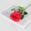 Round Rose silk cloth rose red