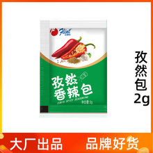 富琳特孜然香辣包2克小调料炸鸡翅蘸料烧烤撒料粉末调味包调味品