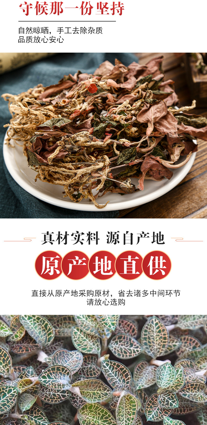 Jin Xian Lian Whole Herb (Anoectochilus roxburghii) — Dried Red-Halo Orchid for Tea & Soup specifications