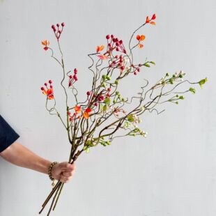 ?ɽ�w�� �{�������� ˇ�g�廨֦�ĵ��߸ɻ���ˇ���b�֦��