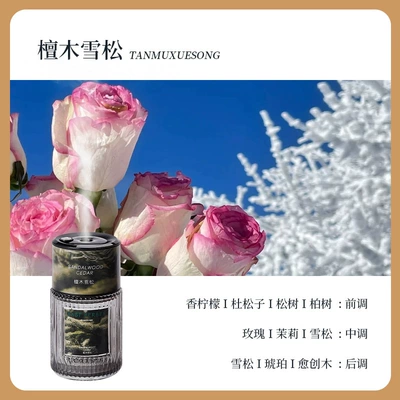 for All-Round Fragrance and Odor | Car Perfume Aromatherapy - sandalwood-cedar-spray