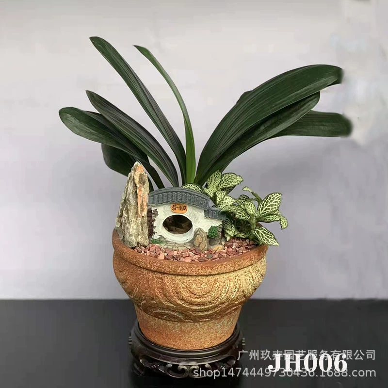 Самособирающийся бассейн небольшой бонсай гостиная балкон офис Рабочий стол хорошее выращивание Зеленая база для растений собственного производства JH06-JH10