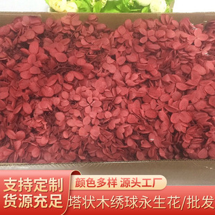 100g����ľ����������������Ϧ�}�Q�����˹����նY�жY�����