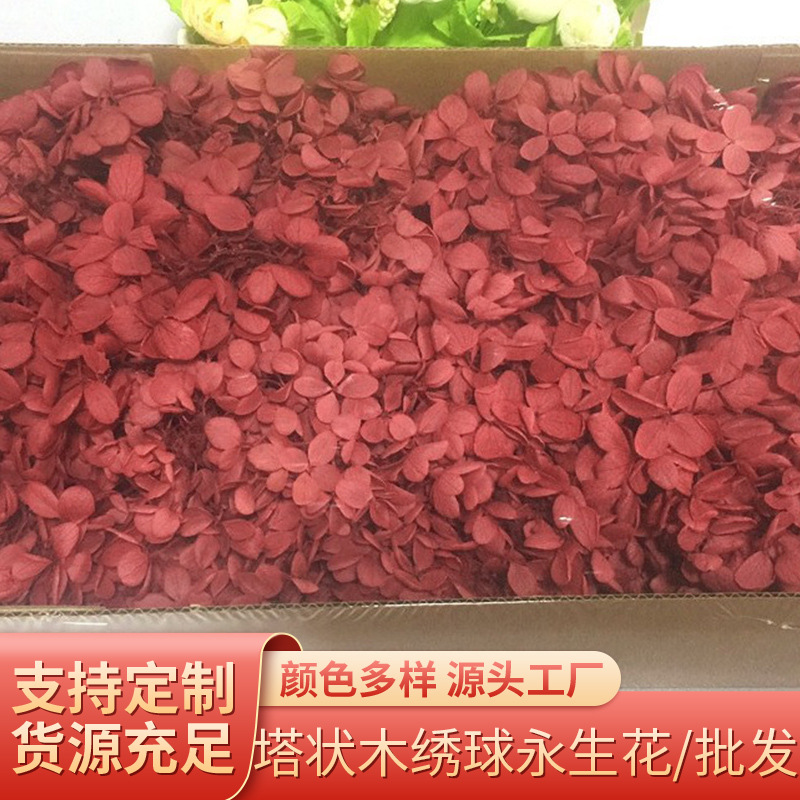 100g塔状木绣球永生花花材七夕圣诞节情人节生日礼盒礼盒配材