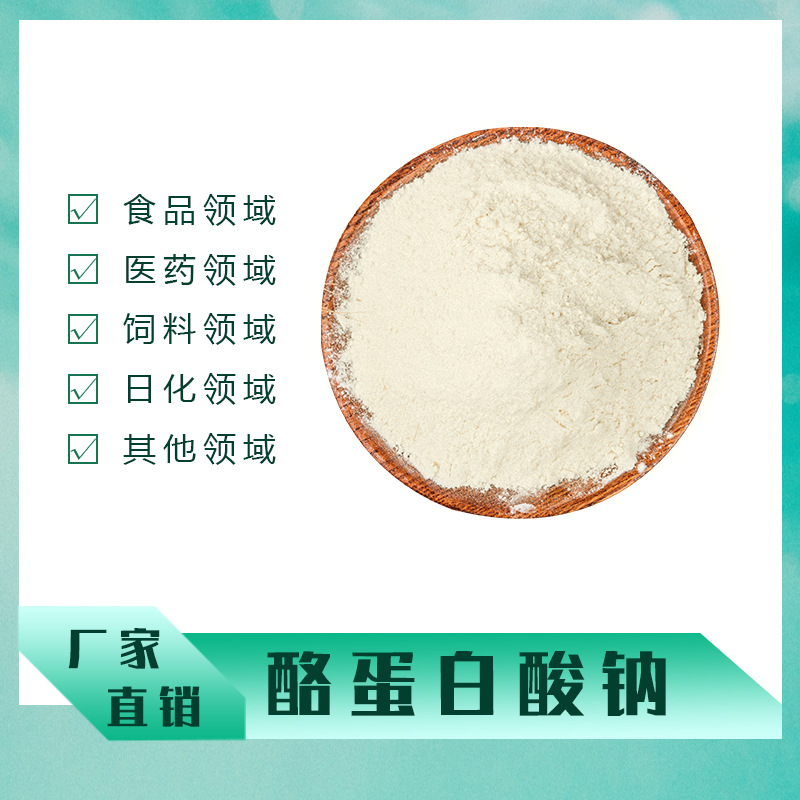 华龙 酪蛋白酸钠 酪朊酸钠 25kg/袋质量保证 酪蛋白酸钠