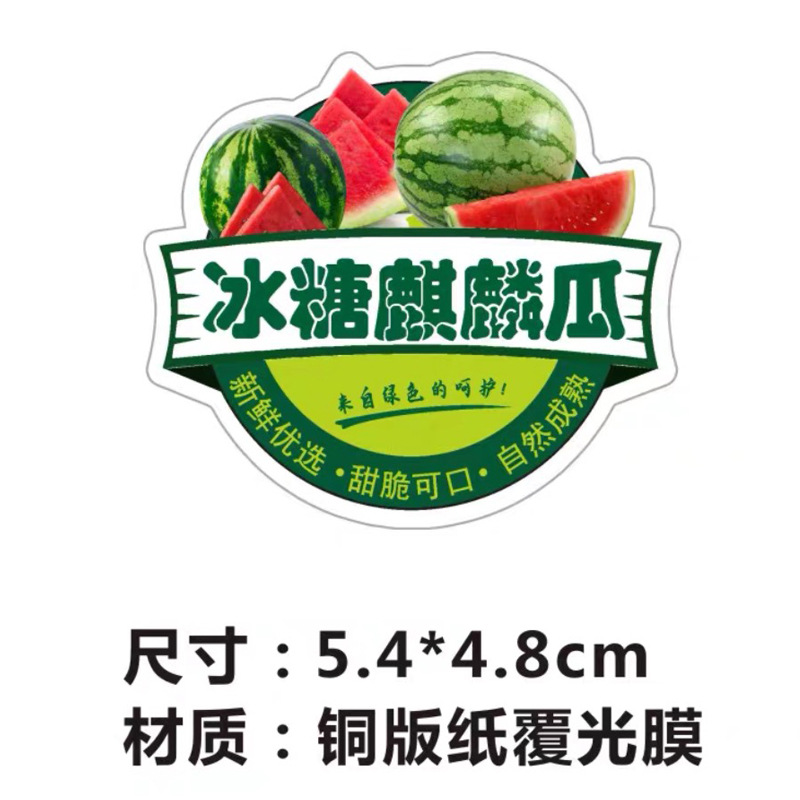 락슈가 기린멜론 5.4cm * 4.8cm 100개